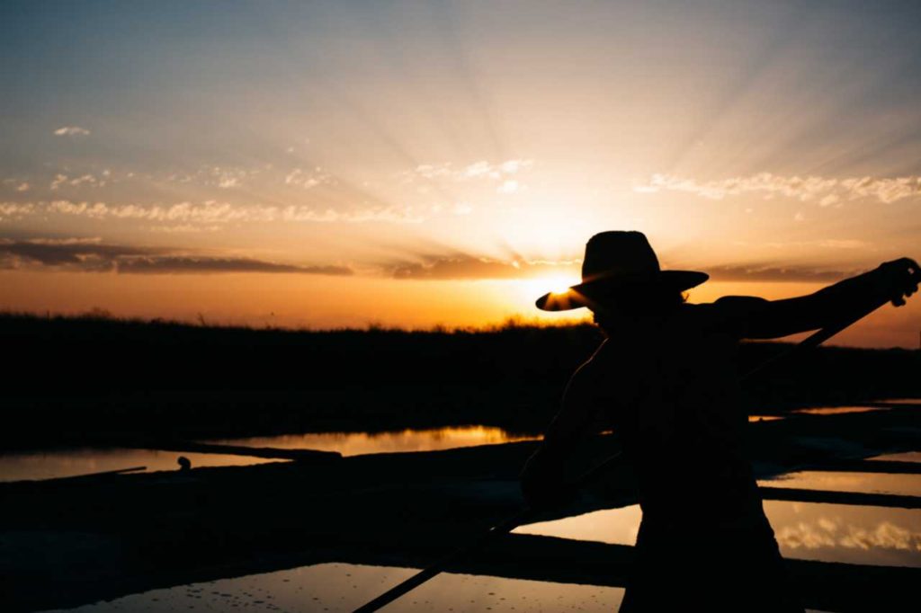 Individual Therapy: Silhouette of a person standing and rowing a boat in front of sunset