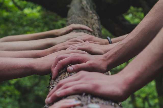 A bunch of hands laying on a tree trunck